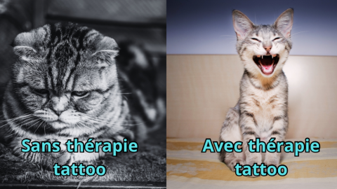 TATTOO THERAPIE 